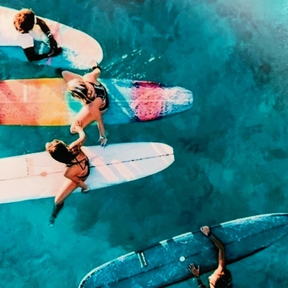 Meet your Posher, Danica - Picture 1 of 1